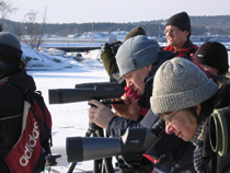 Vagga fiskehamn